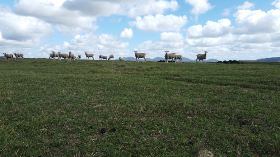 Commercial Property for Sale in Mossel Bay Rural Western Cape